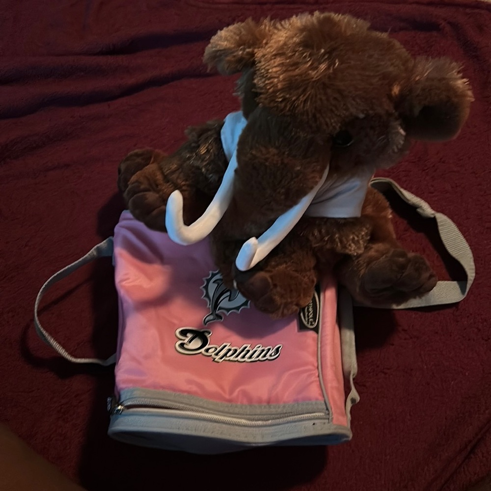 Dolphins lunchbag / teddy bear bonus